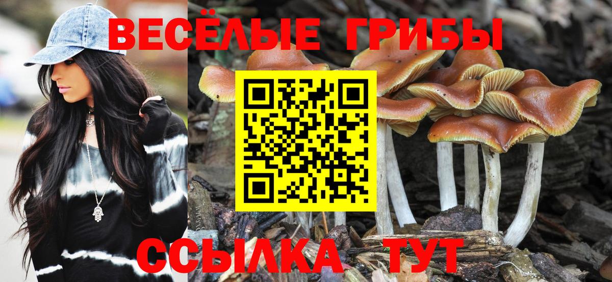 Галлюциногенные грибы мицелий  Вход с VPN  Прокопьевск 
