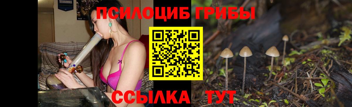 Галлюциногенные грибы Psilocybe Прокопьевск
